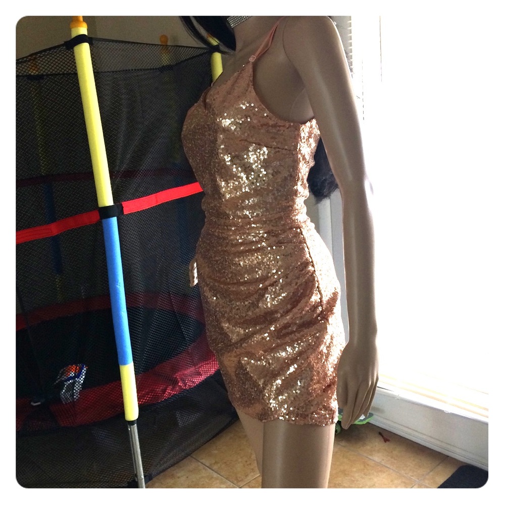 ‼️SOLD‼️ Rose sequence dress